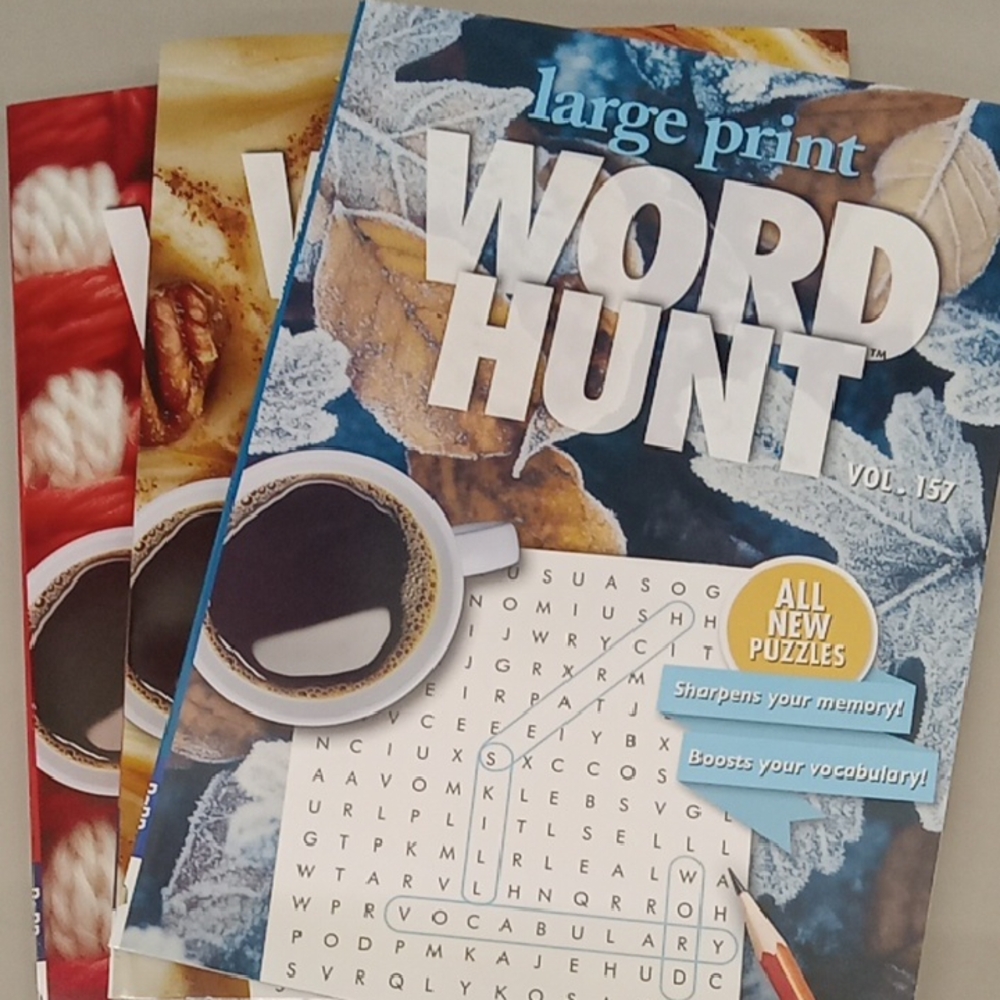 Word Hunt Puzzle Books Set Of 3